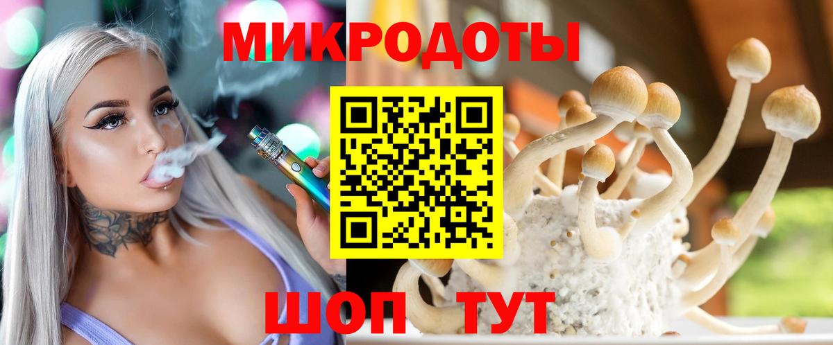 Псилоцибиновые грибы Psilocybine cubensis Кингисепп