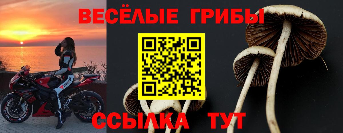 Галлюциногенные грибы Magic Shrooms  Вход с VPN  Кингисепп 